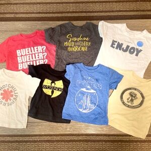 Toddler band / vintage tshirt bundle . Sizes range from 12M to 2T.